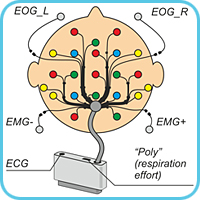 Electrode system ES-EEG-19-3