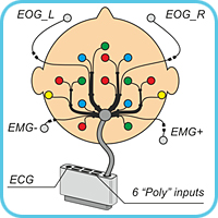 Electrode system ES-EEG-11-3